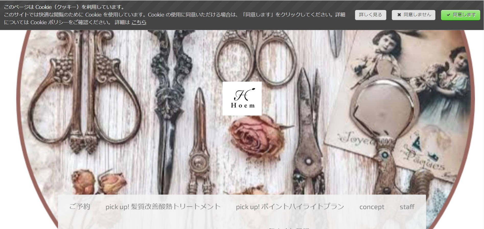 ホーエムの公式HPキャプチャ