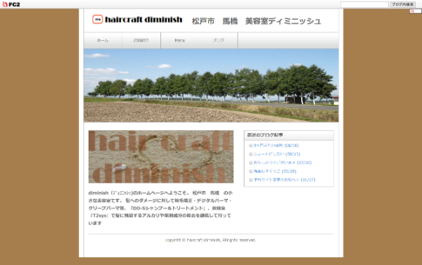 diminish（ディミニッシュ）の公式HPキャプチャ