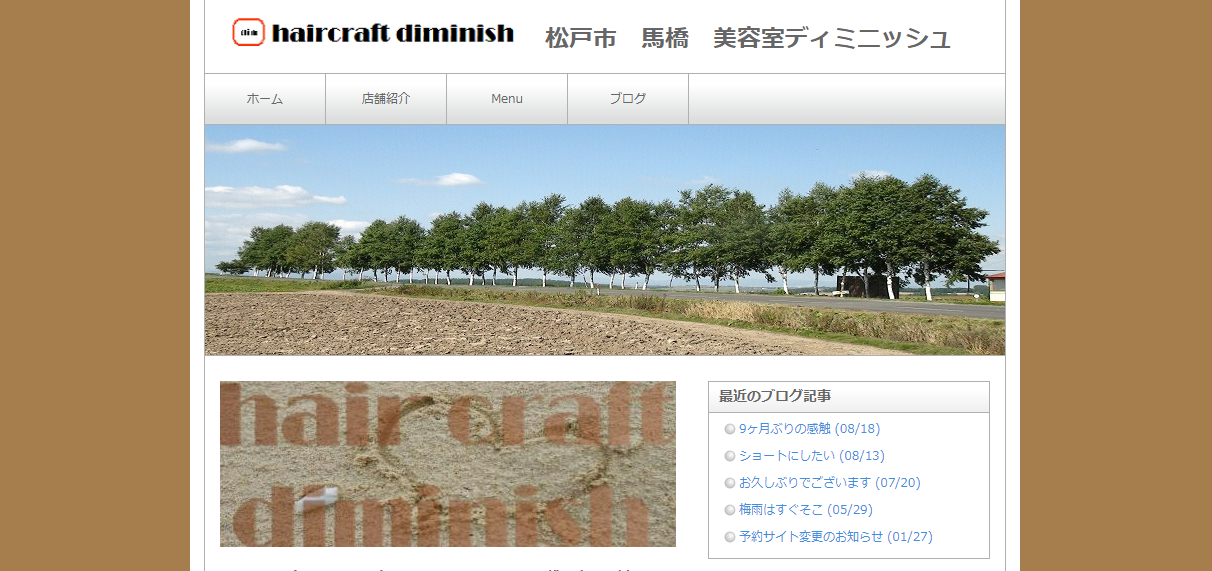 hair craft diminish（ヘアクラフトディミニッシュ）公式サイトのキャプチャ.png