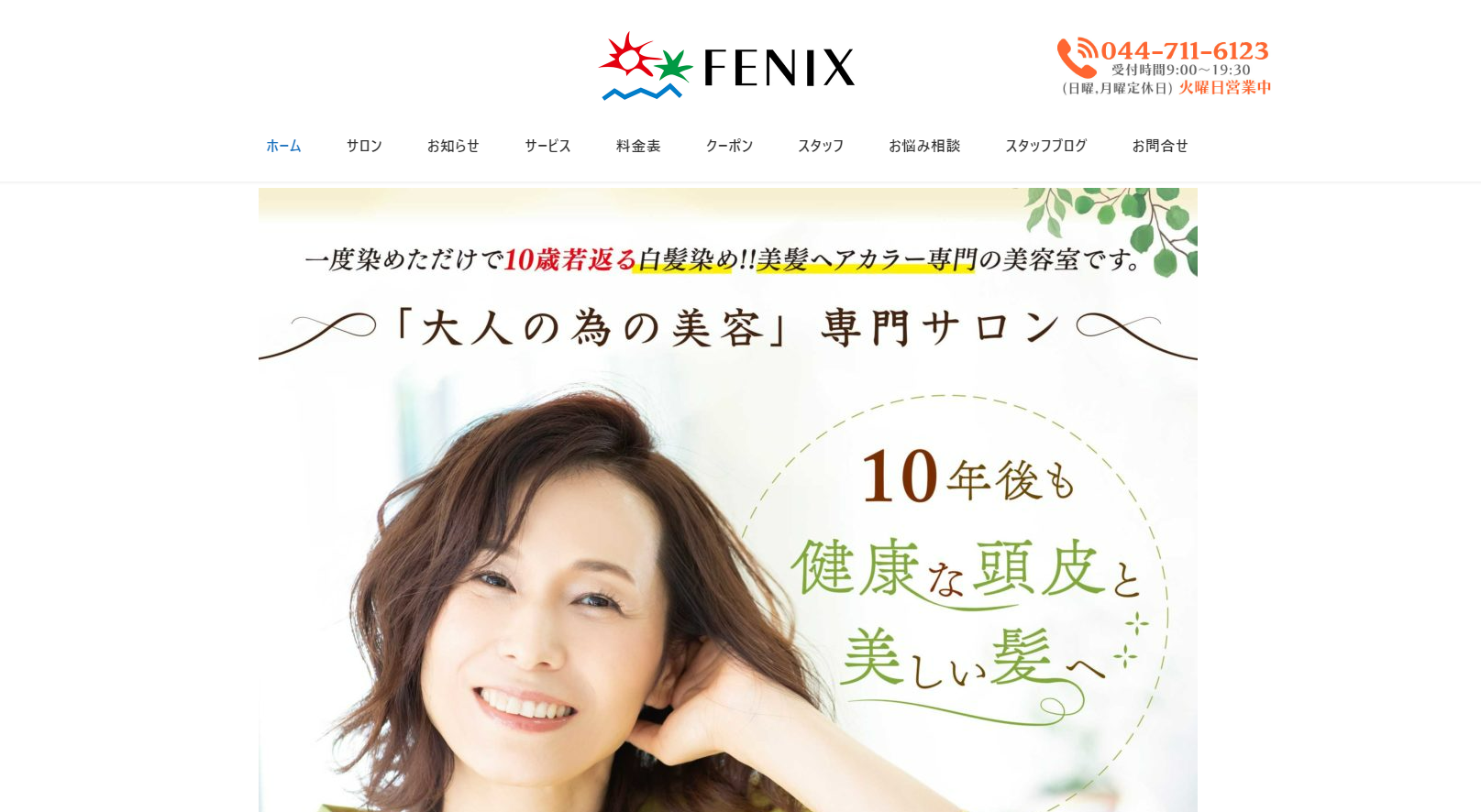 FENIX（フェニックス）公式サイトのキャプチャ.png
