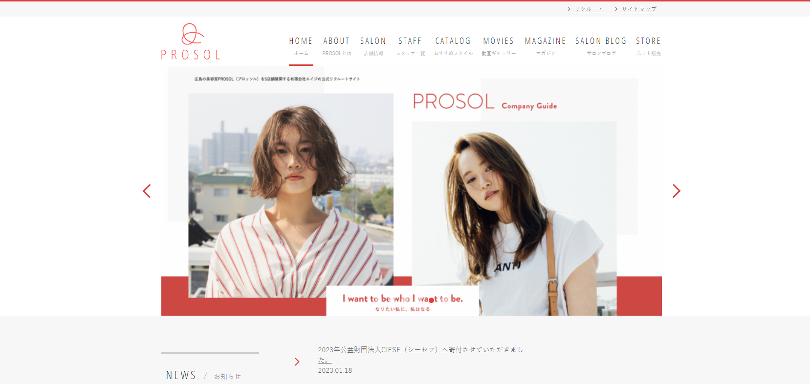 PROSOL公式サイトのキャプチャ.png